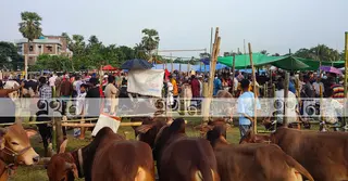 বাগেরহাটে শেষ মুহূর্তে কোরবানির হাটে উপচে পড়া ভিড়